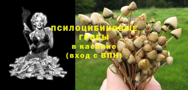 мяу мяу кристалл Алексин