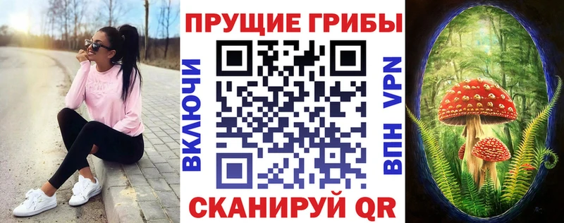 Псилоцибиновые грибы ЛСД наркошоп Апшеронск